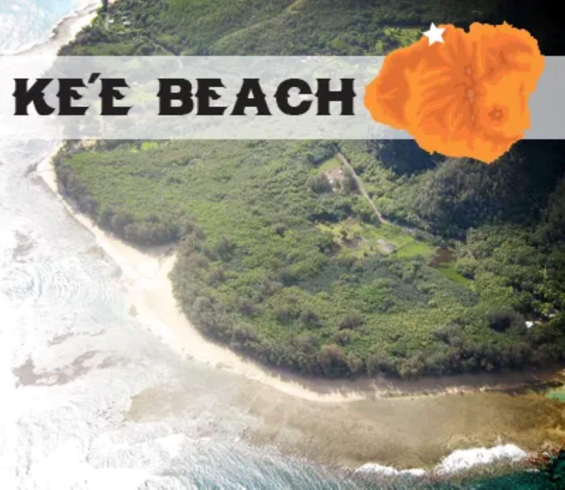 An aerial view of a beach